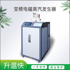 电磁变频蒸汽发生器-(30-60KW)