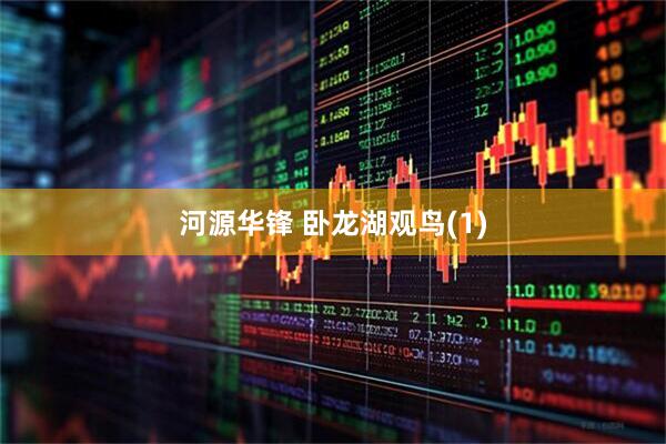 河源华锋 卧龙湖观鸟(1)