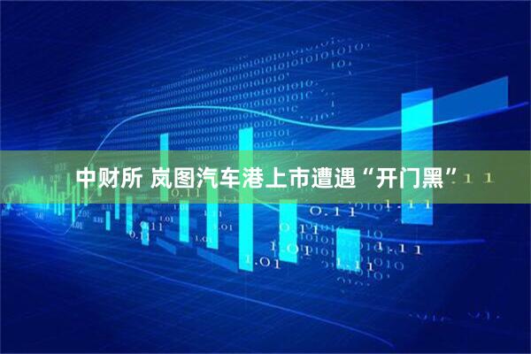 中财所 岚图汽车港上市遭遇“开门黑”