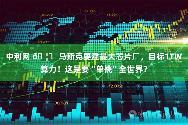 中利网 🦞 马斯克要建最大芯片厂，目标1TW算力！这是要“单挑”全世界？