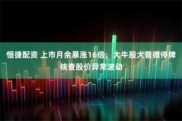 恒捷配资 上市月余暴涨16倍，大牛股大普微停牌核查股价异常波动