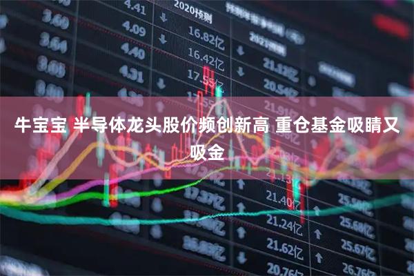 牛宝宝 半导体龙头股价频创新高 重仓基金吸睛又吸金