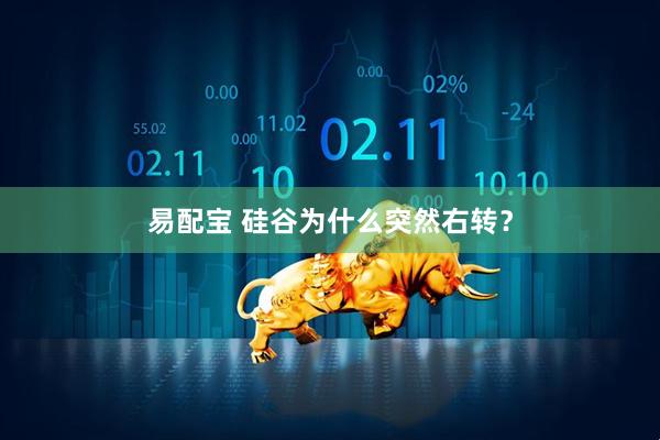 易配宝 硅谷为什么突然右转？