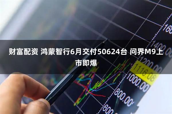 财富配资 鸿蒙智行6月交付50624台 问界M9上市即爆
