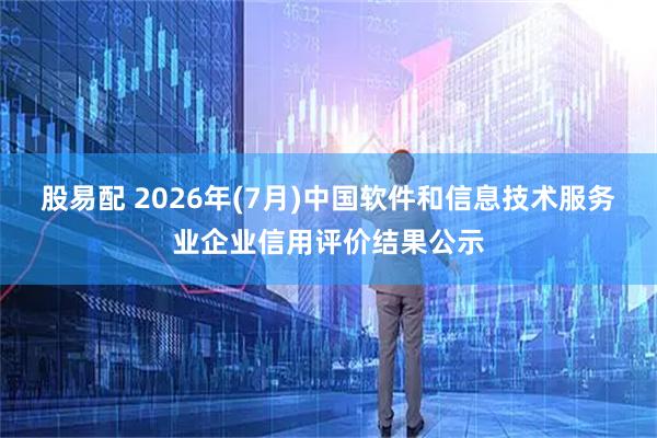 股易配 2026年(7月)中国软件和信息技术服务业企业信用评价结果公示