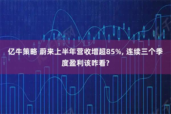 亿牛策略 蔚来上半年营收增超85%, 连续三个季度盈利该咋看?