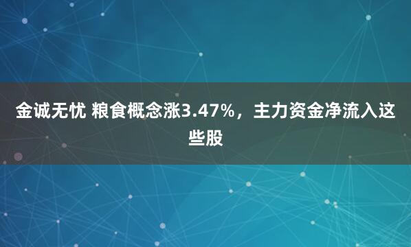 金诚无忧 粮食概念涨3.47%，主力资金净流入这些股